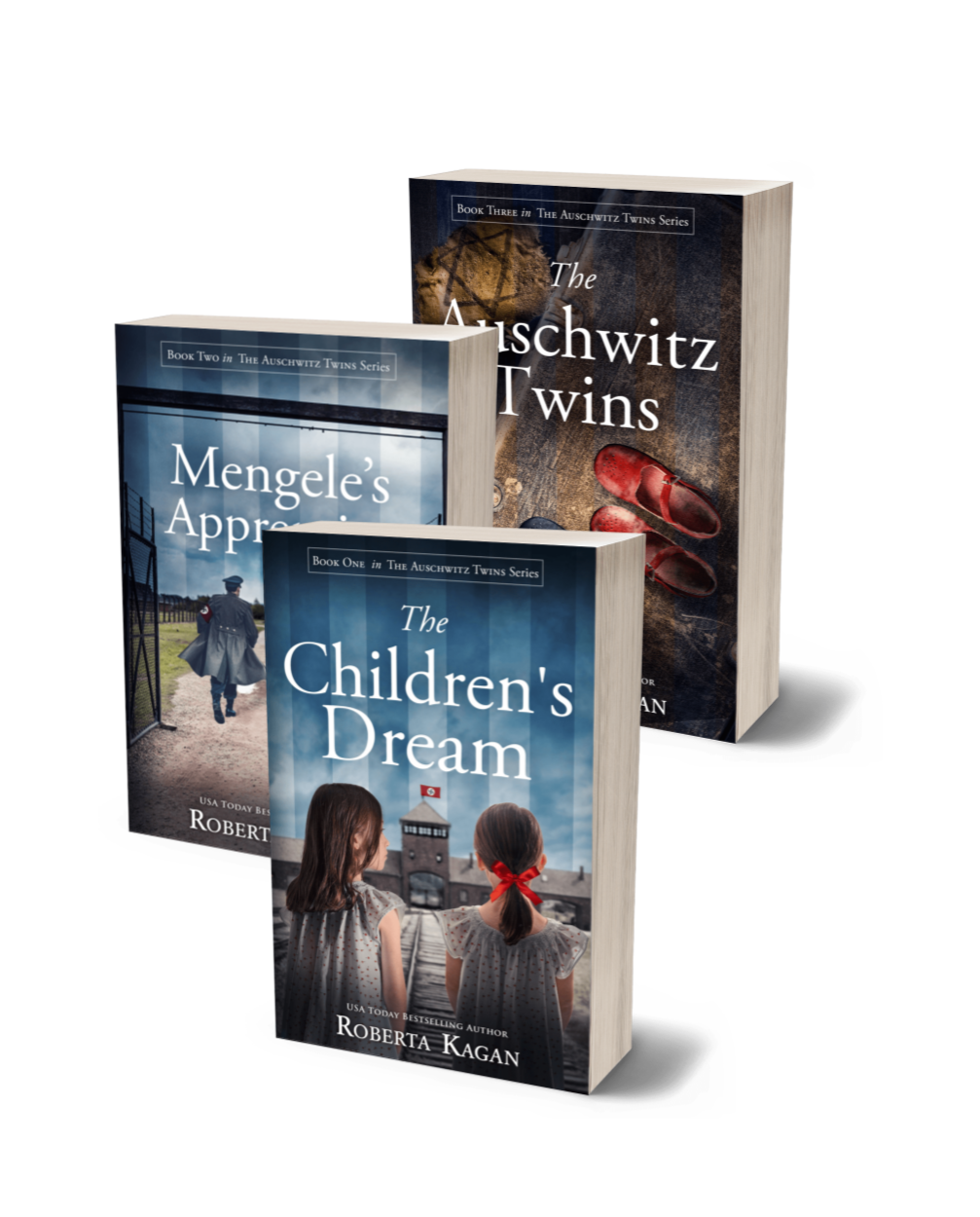 The Auschwitz Twins Series (3 books)