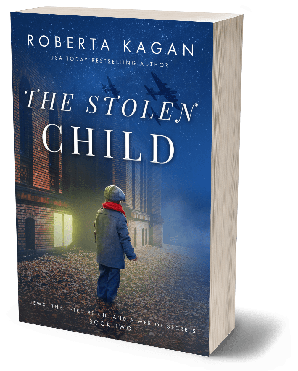 The Stolen Child (Paperback)