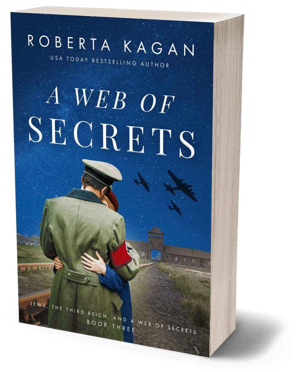A Web of Secrets (Paperback)