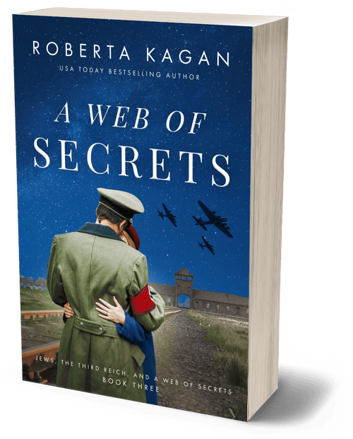 A Web of Secrets (Paperback)