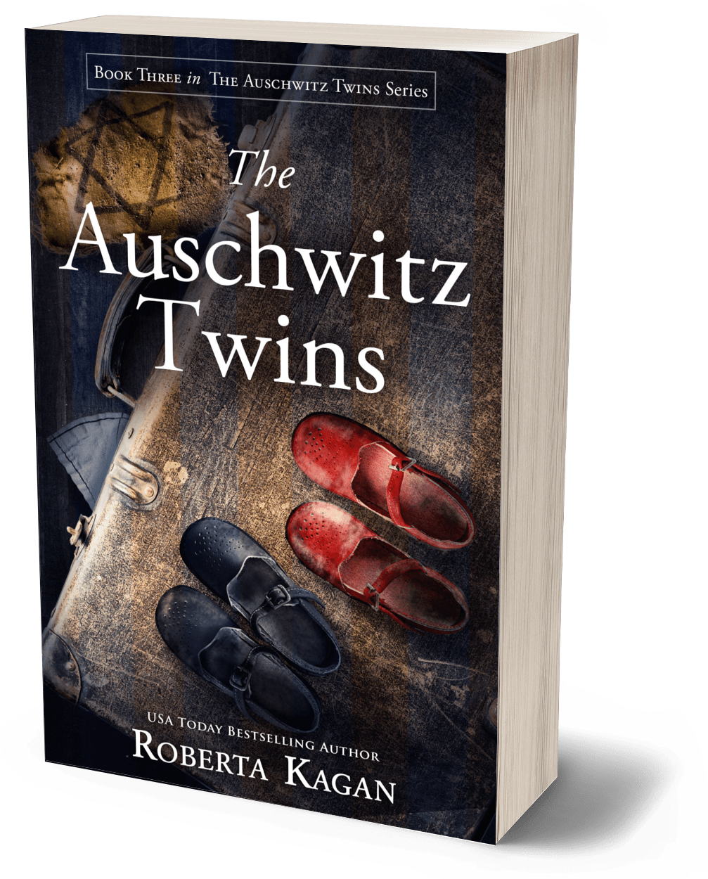 The Auschwitz Twins (Paperback)